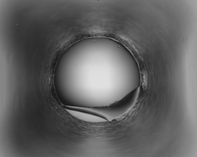 X0000096391157200802211135