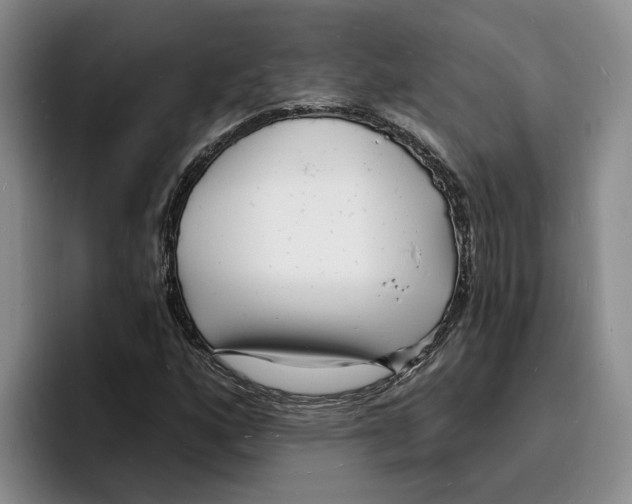 X0000096391160200802211135