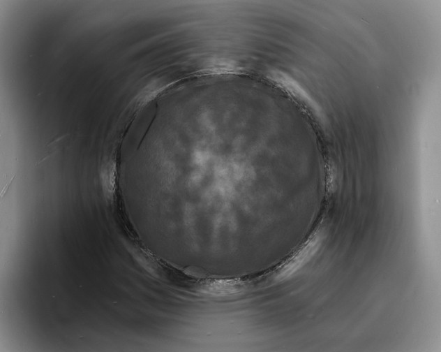 X0000096391161200802211135