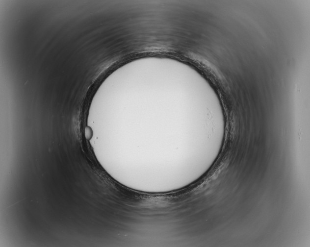 X0000096391162200802211135