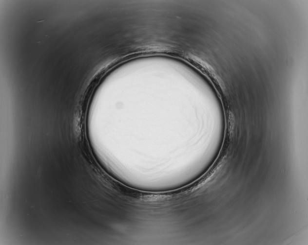 X0000096391163200802211135