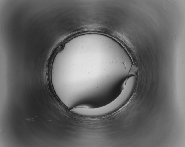 X0000096391164200802211135