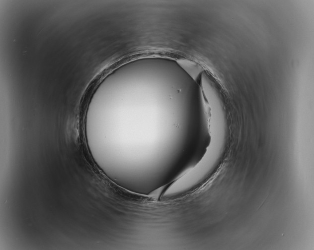 X0000096391165200802211135