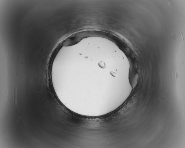 X0000096391168200802211135