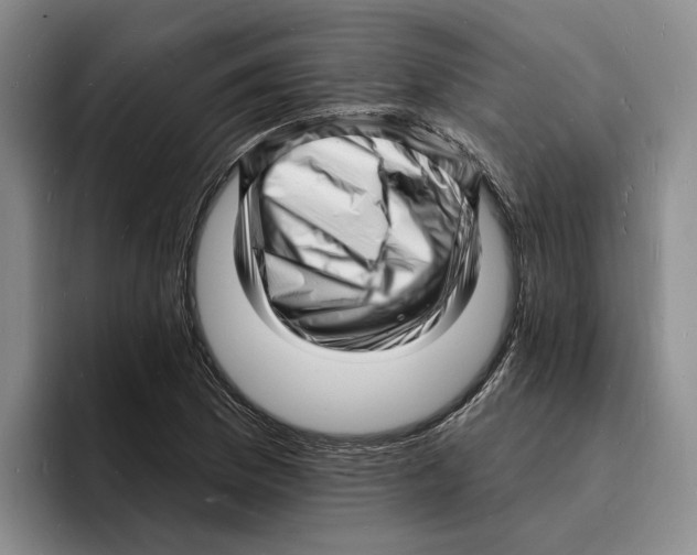 X0000096391169200802211135