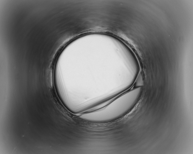 X0000096391171200802211135