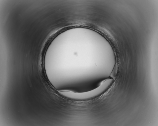 X0000096391172200802211135