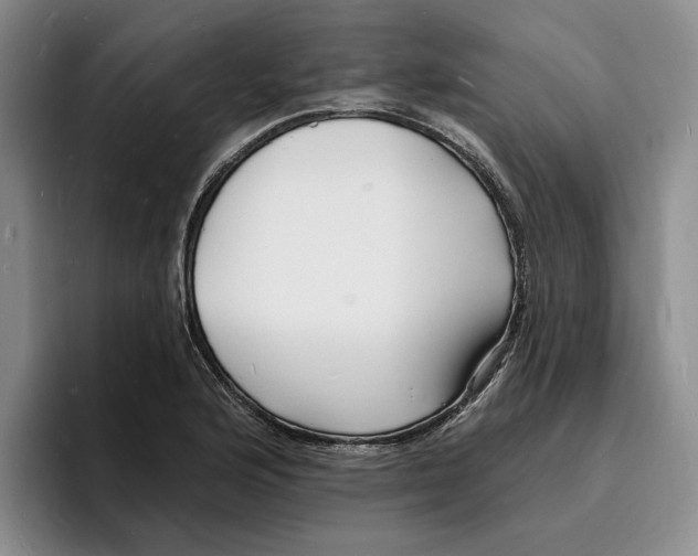 X0000096391176200802211135