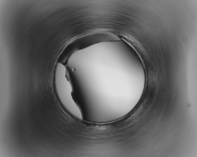 X0000096391177200802211135