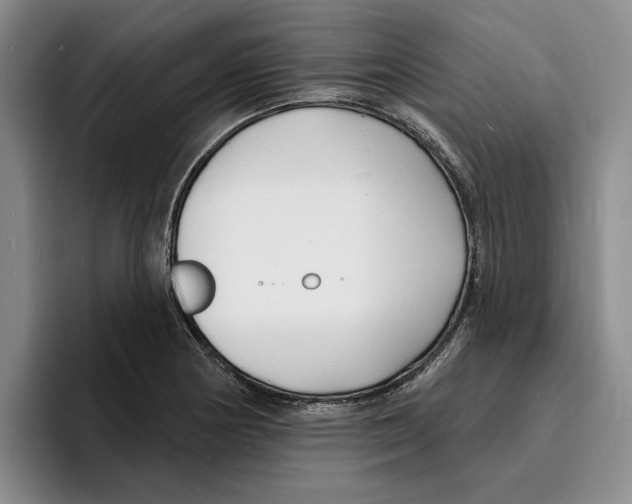 X0000096391178200802211135