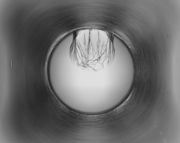 X0000096391180200802211135