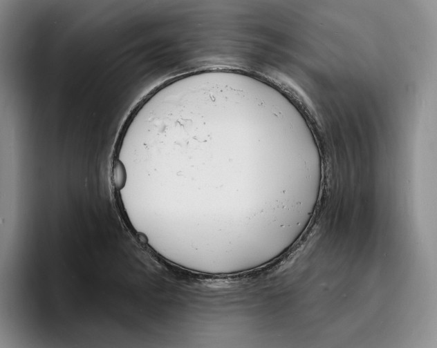 X0000096391182200802211135