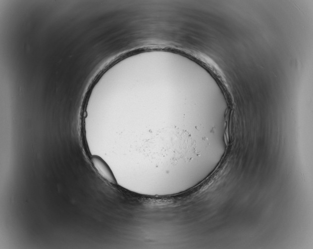 X0000096391183200802211135