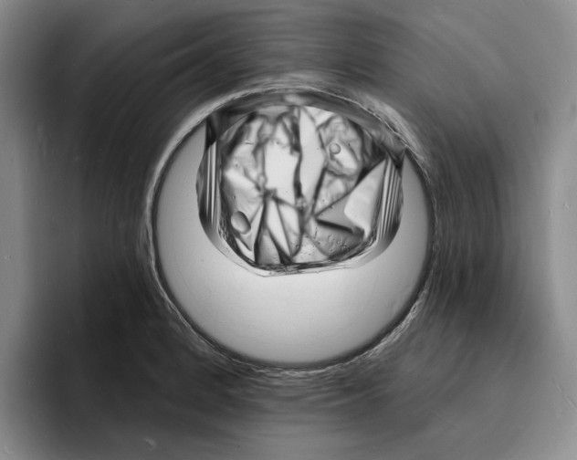 X0000096391184200802211135