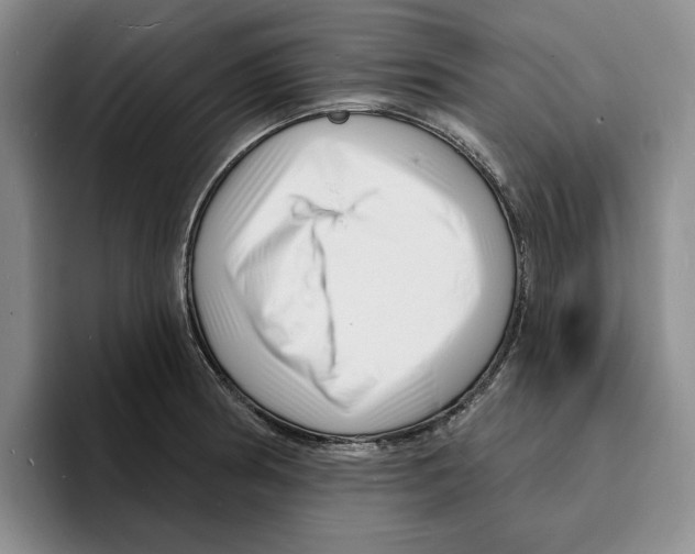 X0000096391186200802211135