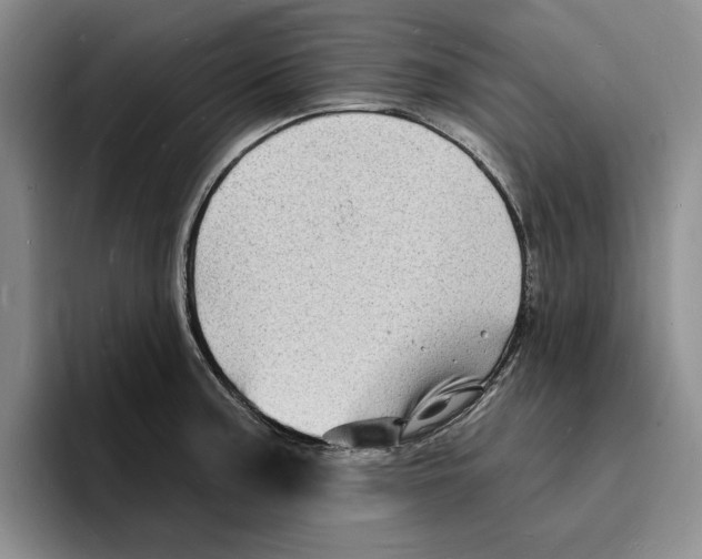 X0000096391187200802211135