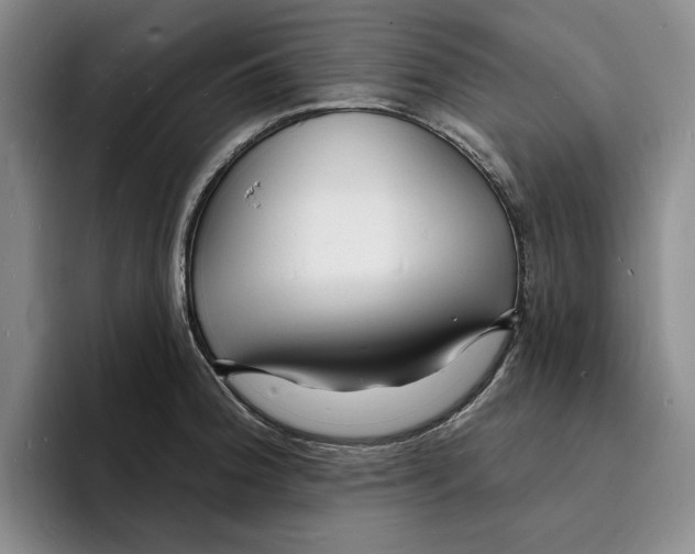 X0000096391188200802211135