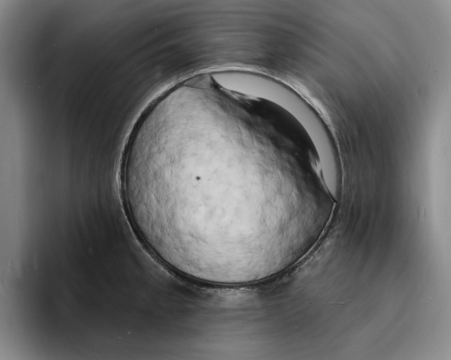 X0000096391189200802211135