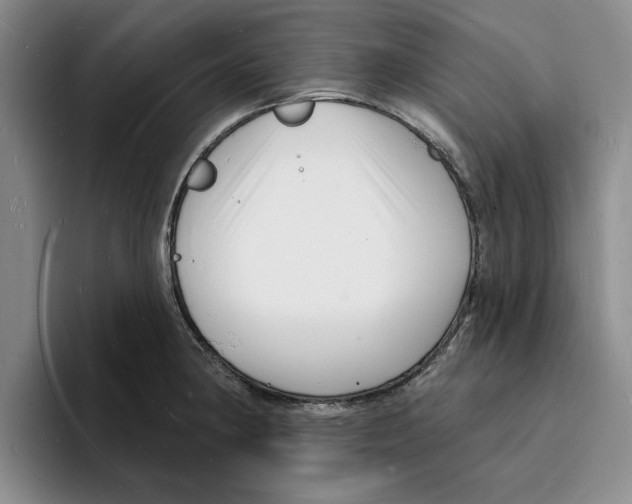 X0000096391190200802211135