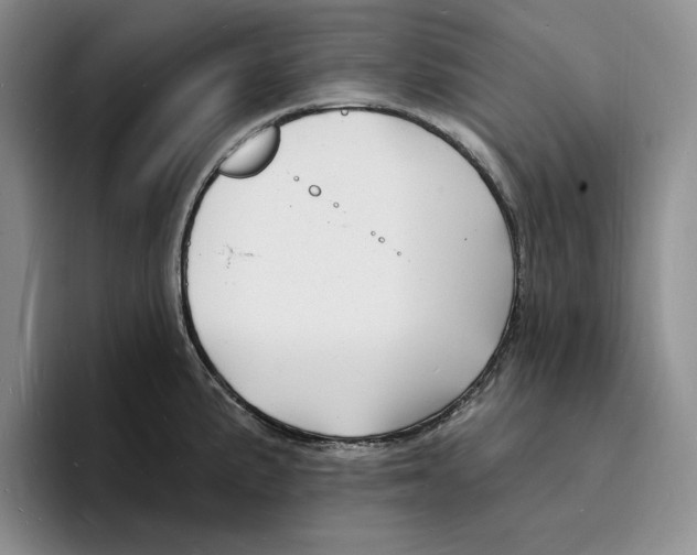 X0000096391191200802211135