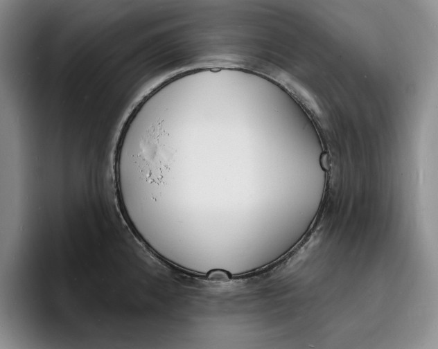 X0000096391192200802211135