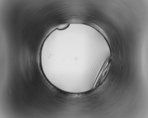 X0000096391195200802211135
