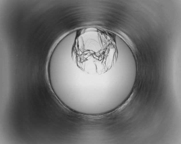 X0000096391196200802211135