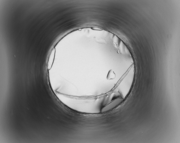 X0000096391200200802211135