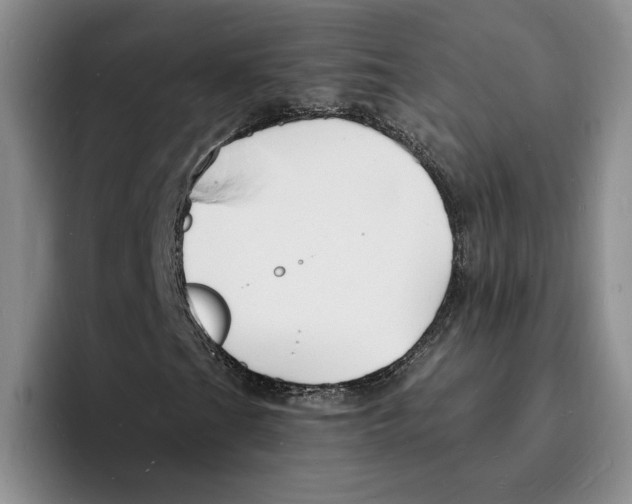 X0000096391201200802211134