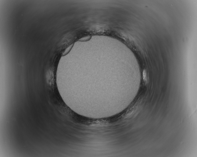 X0000096391203200802211134