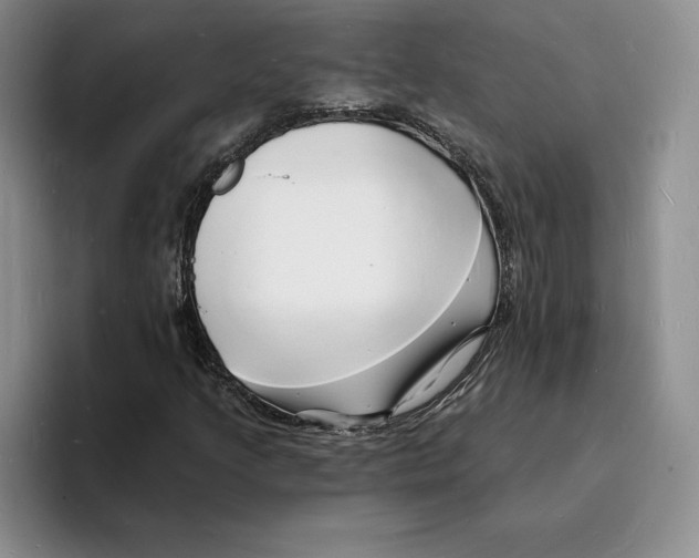 X0000096391205200802211134
