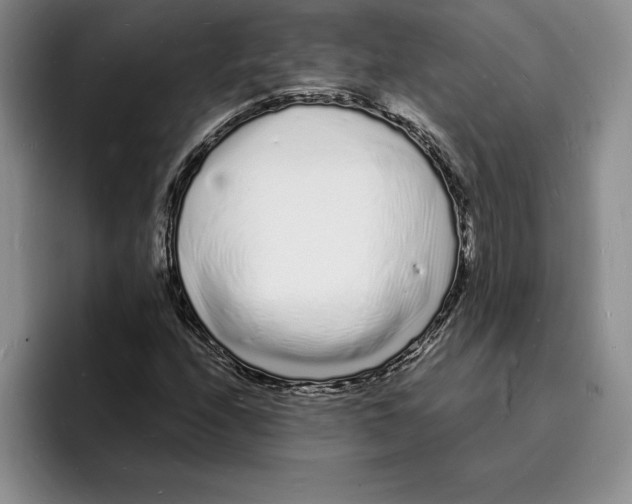 X0000096391208200802211134