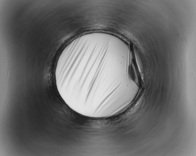 X0000096391210200802211134