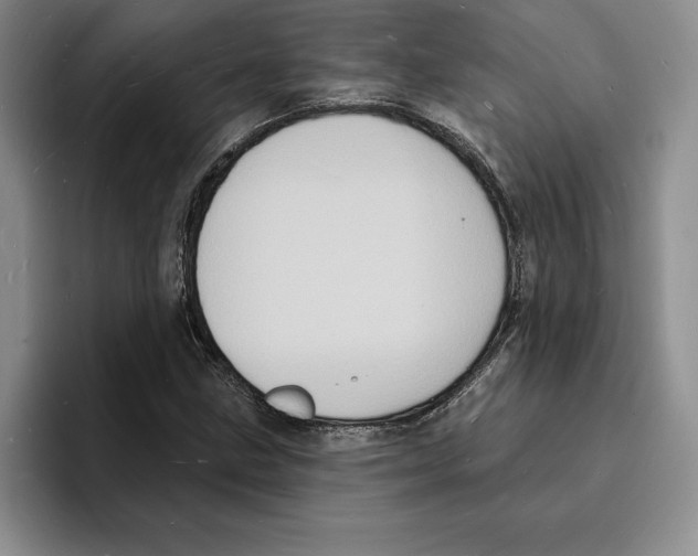 X0000096391211200802211134
