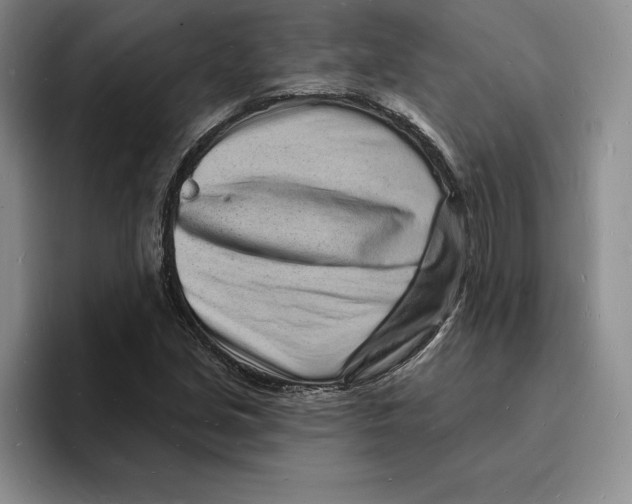 X0000096391213200802211134