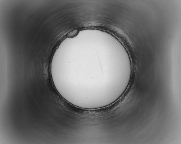 X0000096391217200802211134