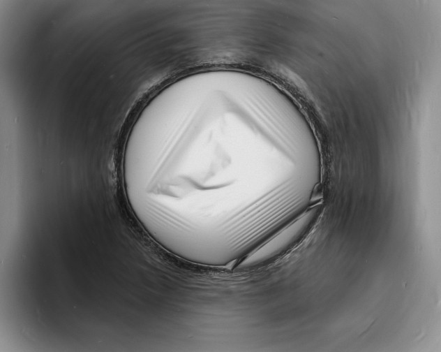 X0000096391218200802211134