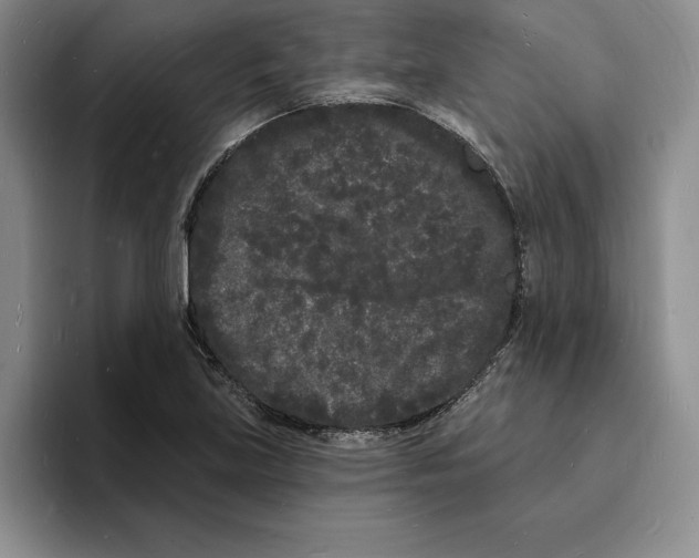 X0000096391219200802211134