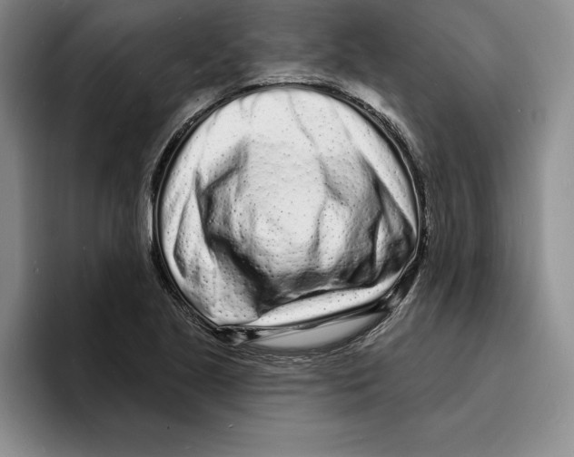 X0000096391221200802211134
