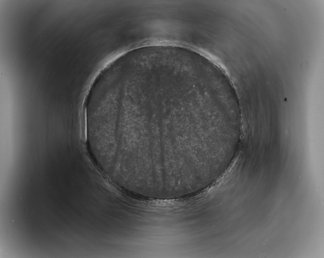 X0000096391223200802211134