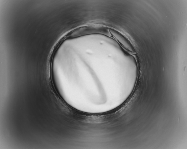 X0000096391224200802211134