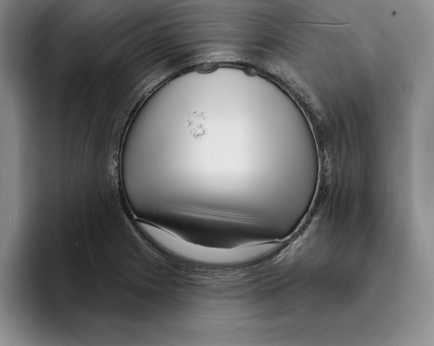 X0000096391225200802211134