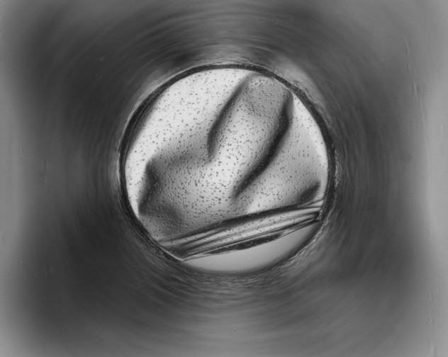 X0000096391226200802211134