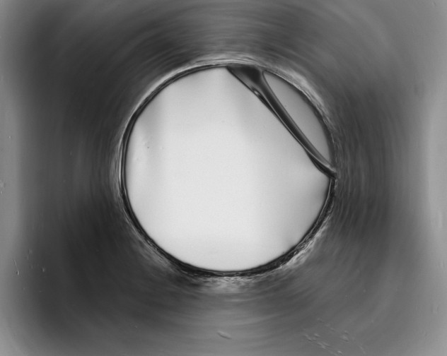 X0000096391228200802211135