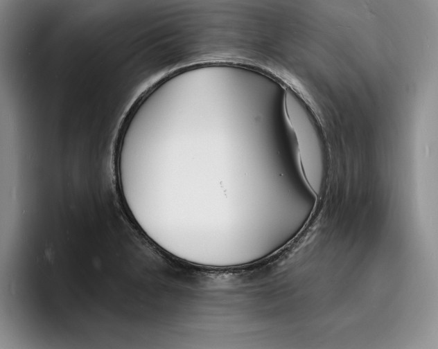 X0000096391230200802211135
