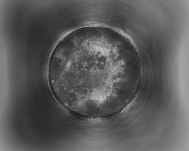 X0000096391231200802211135