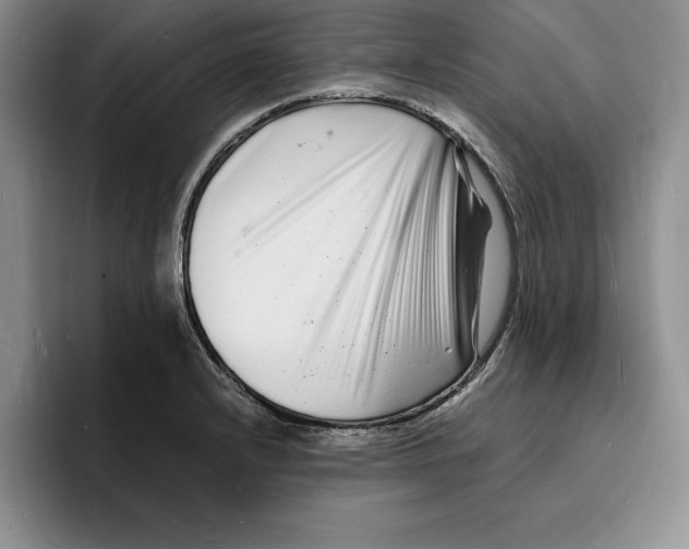 X0000096391232200802211135