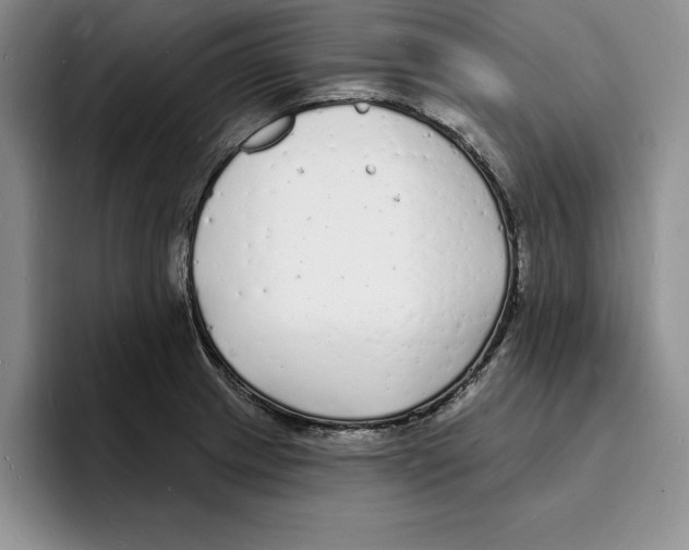 X0000096391233200802211135