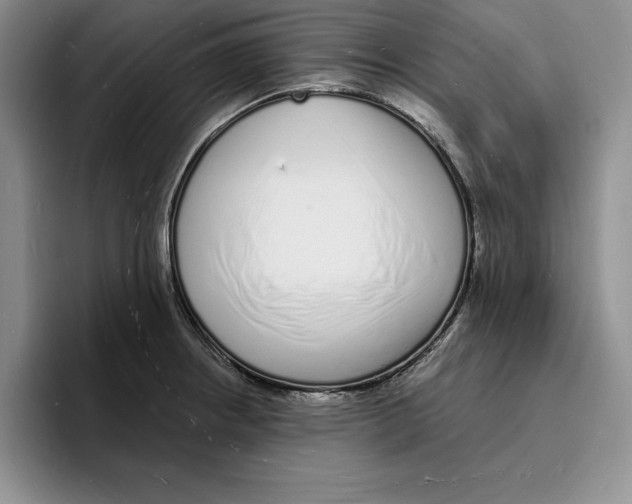 X0000096391234200802211135