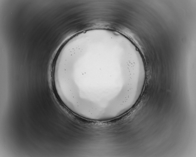 X0000096391235200802211135